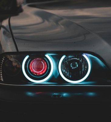 Tutela del passeggero trasportato